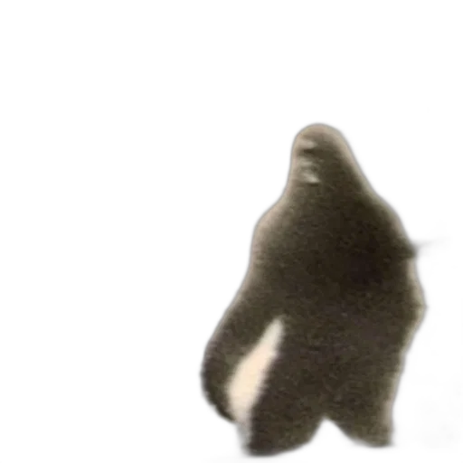 creature, animal, robot, hat transparent PNG cut-out