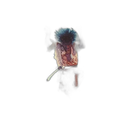 creature, crown, flower, hair transparent PNG cut-out