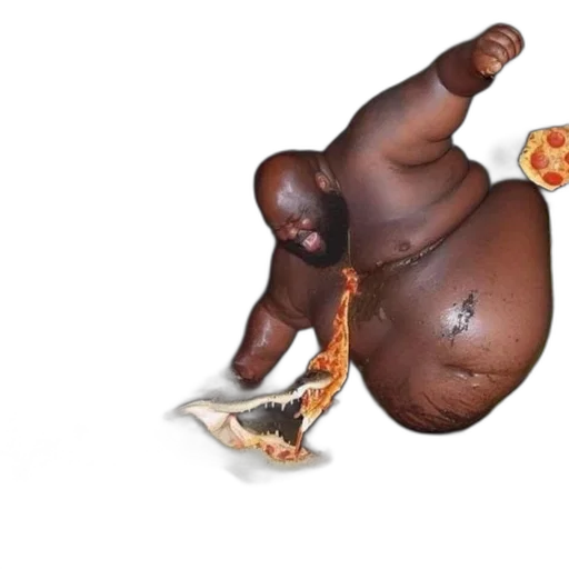 food, shoes, creature, animal transparent PNG cut-out