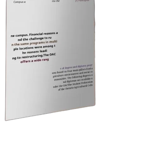 document, discussing, restructuring, institution transparent PNG cut-out