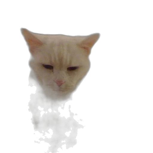 animal, creature, face, robot transparent PNG cut-out