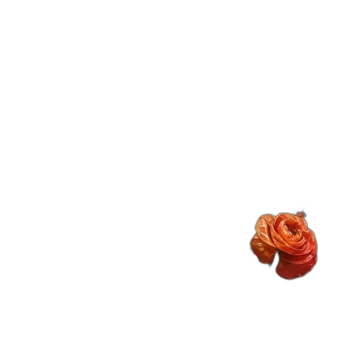 flower, food, jewelry, crown transparent PNG cut-out