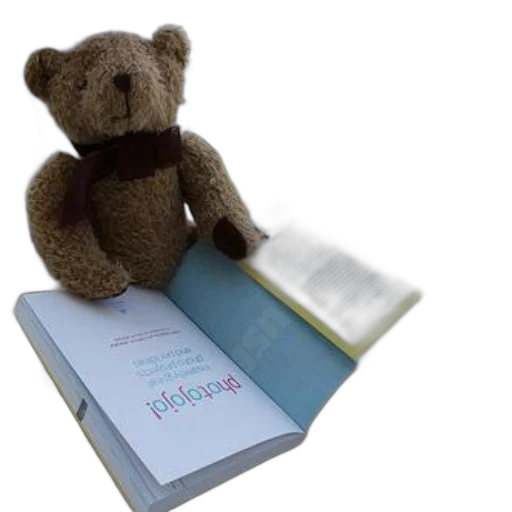 teddy, bear, sits, open transparent PNG cut-out