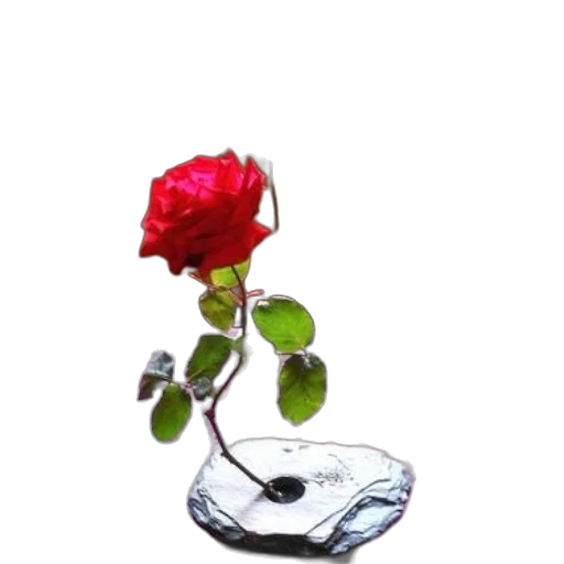 flower, jewelry, crown, bottle transparent PNG cut-out
