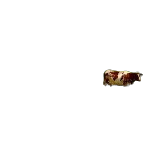 animal, food, creature, weapon transparent PNG cut-out
