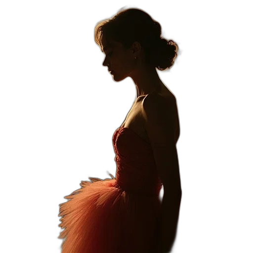 dress, crown, hair, hat transparent PNG cut-out