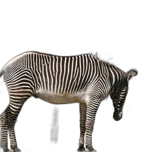 animal, creature, robot, furniture transparent PNG cut-out