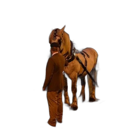 animal, creature, staff, jacket transparent PNG cut-out