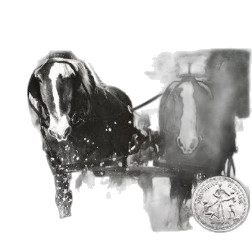 animal, jewelry, creature, concept art transparent PNG cut-out