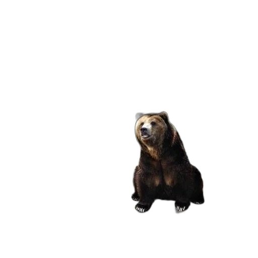 animal, creature, staff, face transparent PNG cut-out