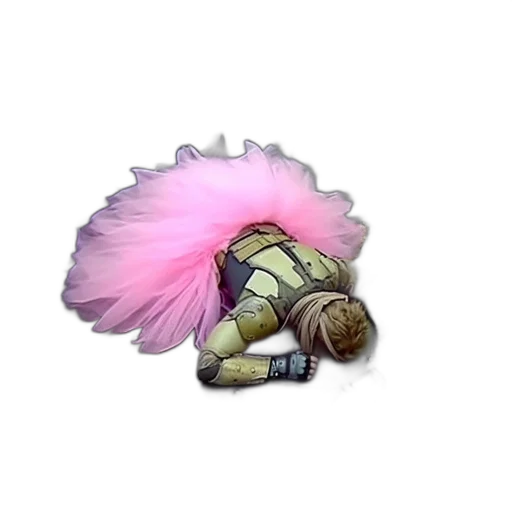 hair, creature, animal, hat transparent PNG cut-out