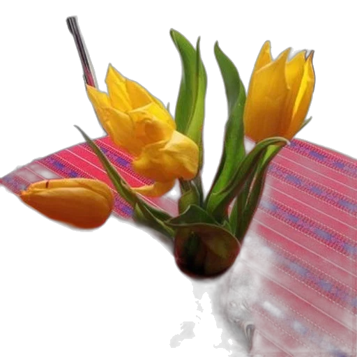 flower, hat, food, dress transparent PNG cut-out