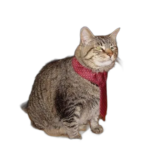 jacket, staff, animal, hat transparent PNG cut-out