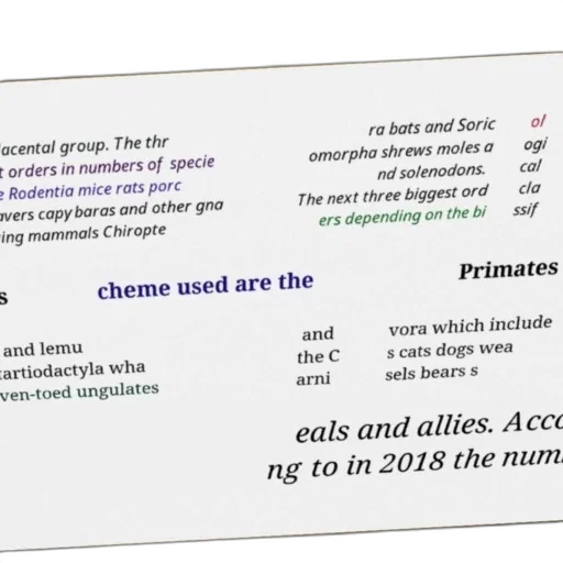 image, text-based, diagram, explaining transparent PNG cut-out