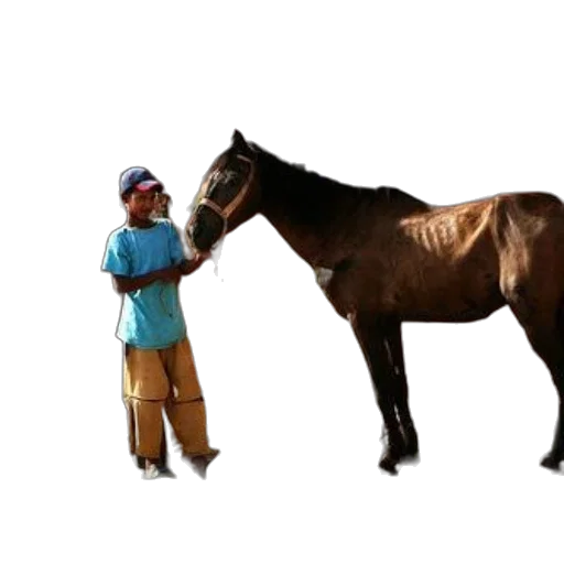 animal, creature, staff, hat transparent PNG cut-out