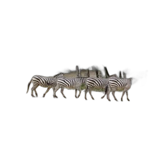 animal, creature, hair, staff transparent PNG cut-out