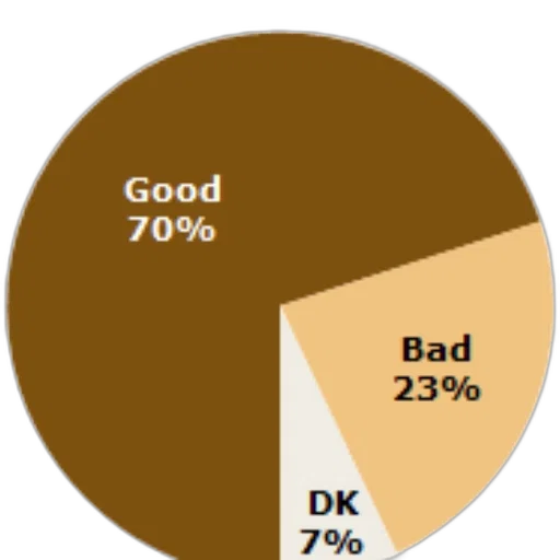 dark, earth tones, pie, chart transparent PNG cut-out