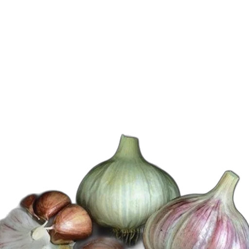 food, crown, flower, bottle transparent PNG cut-out