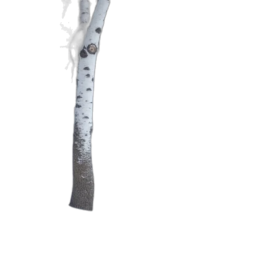 staff, weapon, sword, tree transparent PNG cut-out
