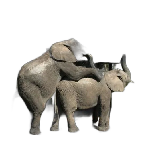animal, staff, 3d render, concept art transparent PNG cut-out