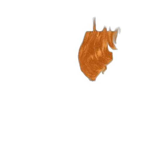hair, food, dragon, animal transparent PNG cut-out