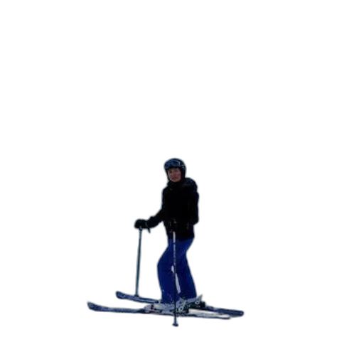 staff, robot, weapon, animal transparent PNG cut-out