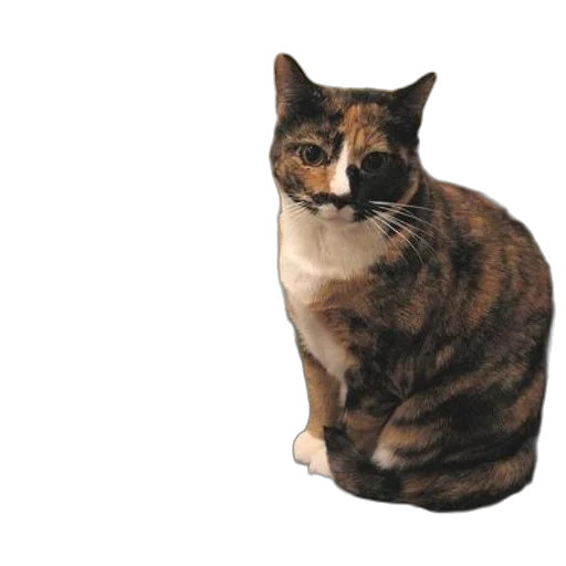 animal, staff, creature, crown transparent PNG cut-out