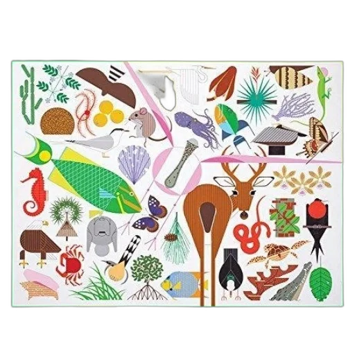 food, jewelry, forest, earth tones transparent PNG cut-out