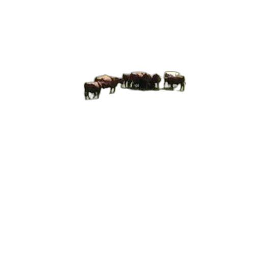 animal, furniture, jewelry, robot transparent PNG cut-out