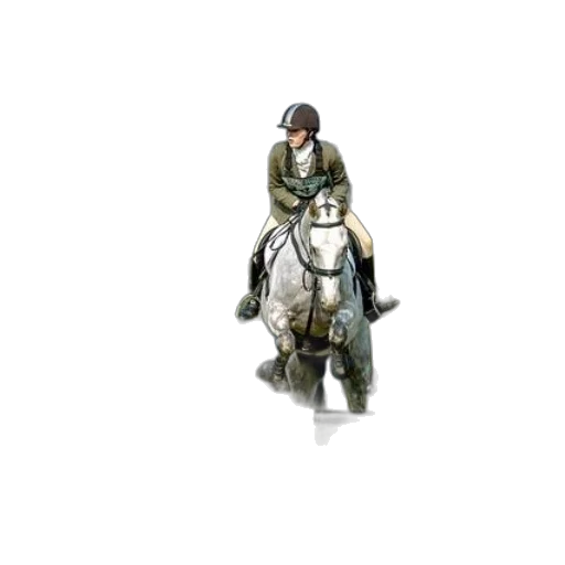 sword, jacket, weapon, animal transparent PNG cut-out