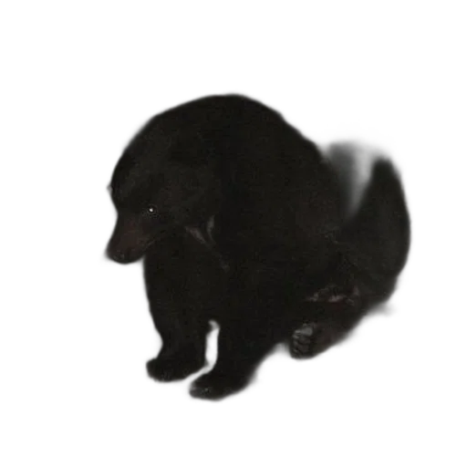 animal, creature, dragon, staff transparent PNG cut-out