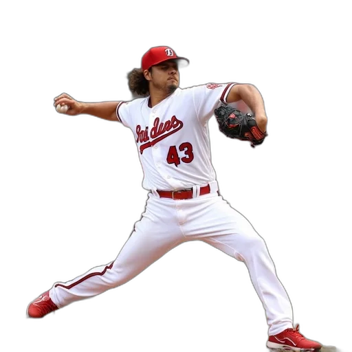 animal, photorealistic, baltimore, orioles transparent PNG cut-out