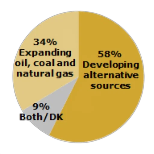 pie, chart, showing, percentage transparent PNG cut-out