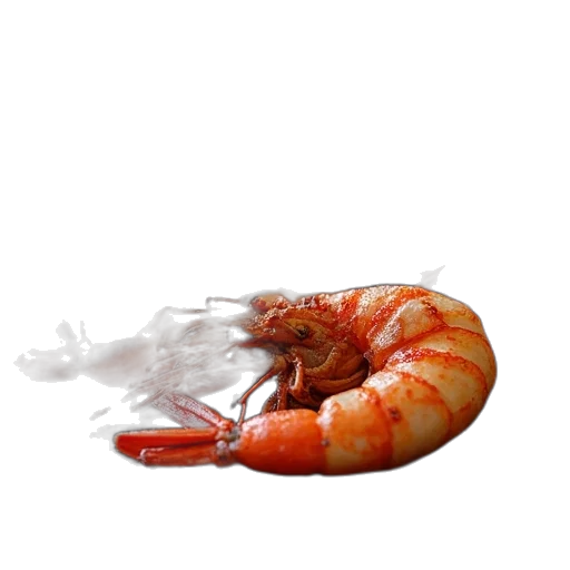 food, animal, creature, jewelry transparent PNG cut-out