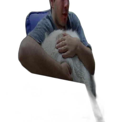 creature, animal, weapon, staff transparent PNG cut-out