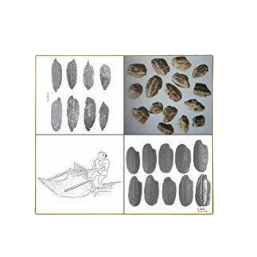 jewelry, monochrome, book, rice transparent PNG cut-out