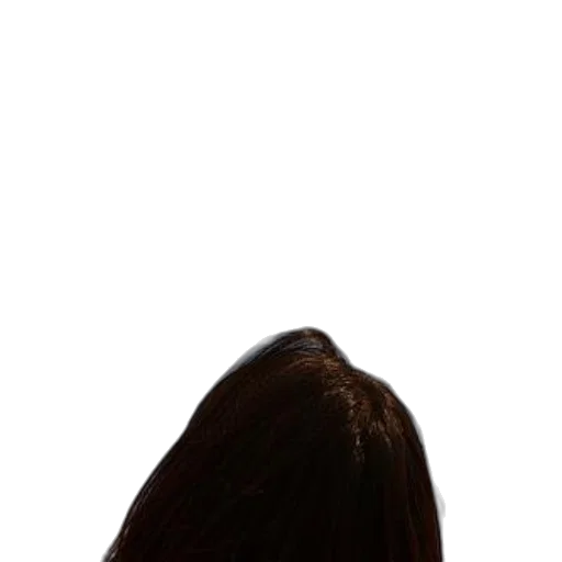 hair, staff, jacket, face transparent PNG cut-out