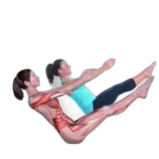3d render, photorealistic, cover, pilates transparent PNG cut-out