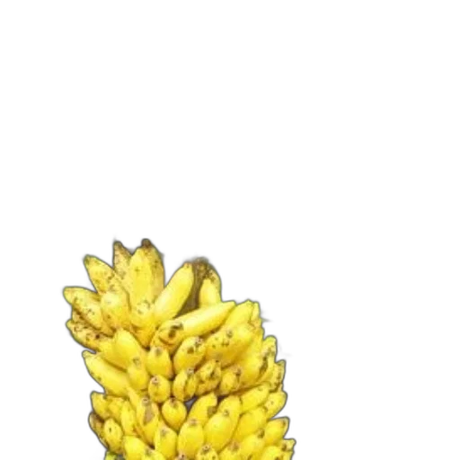 flower, crown, hair, food transparent PNG cut-out