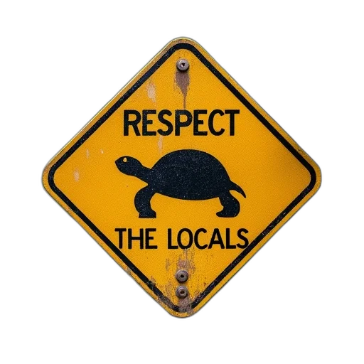 animal, hat, turtle, crossing transparent PNG cut-out