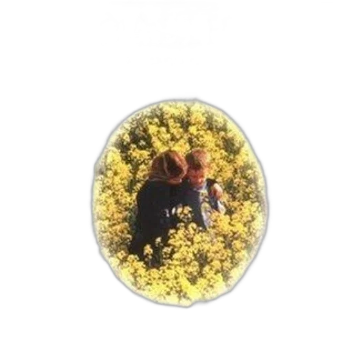 flower, tree, jewelry, mask transparent PNG cut-out