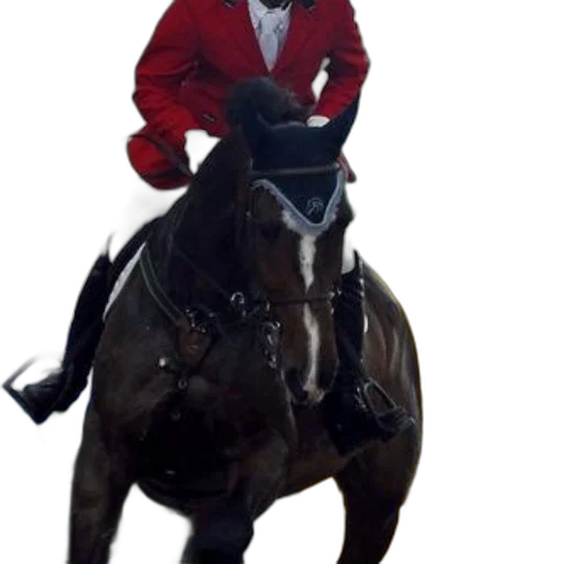 animal, jacket, staff, hat transparent PNG cut-out