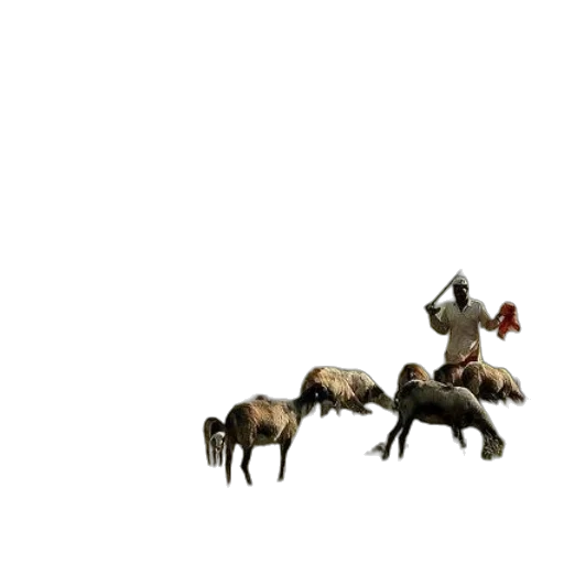 animal, creature, weapon, dragon transparent PNG cut-out