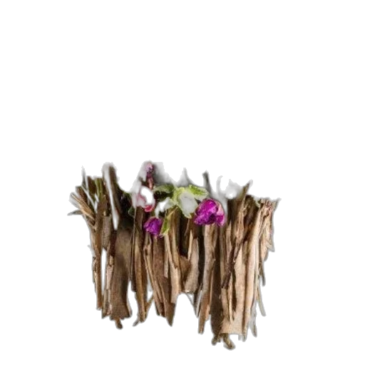 crown, flower, staff, furniture transparent PNG cut-out