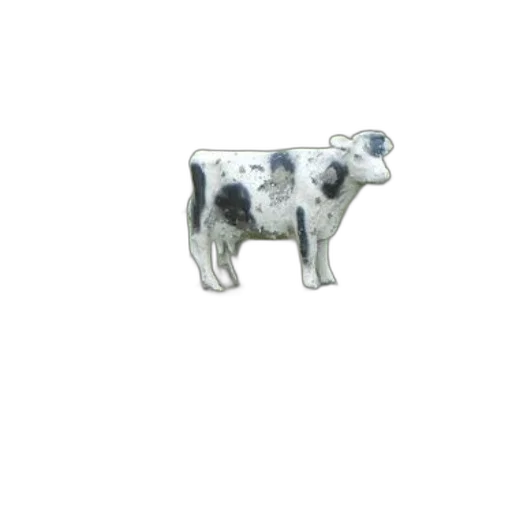 jewelry, animal, food, robot transparent PNG cut-out