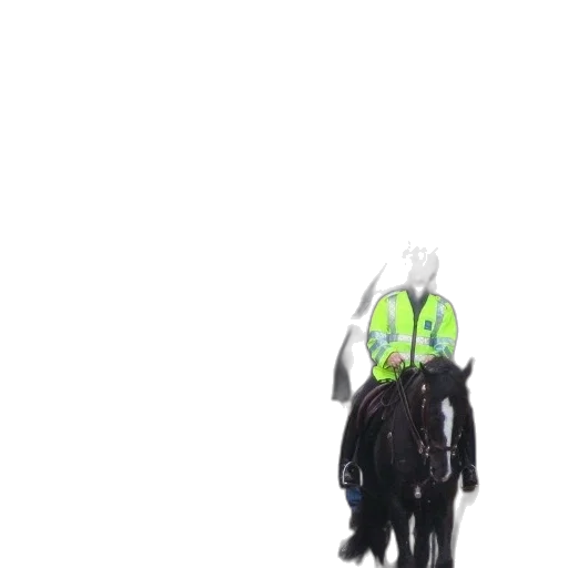 mask, creature, staff, animal transparent PNG cut-out