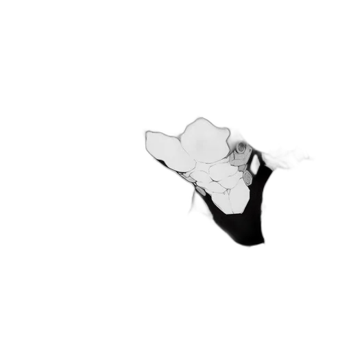 shoes, flower, mask, weapon transparent PNG cut-out