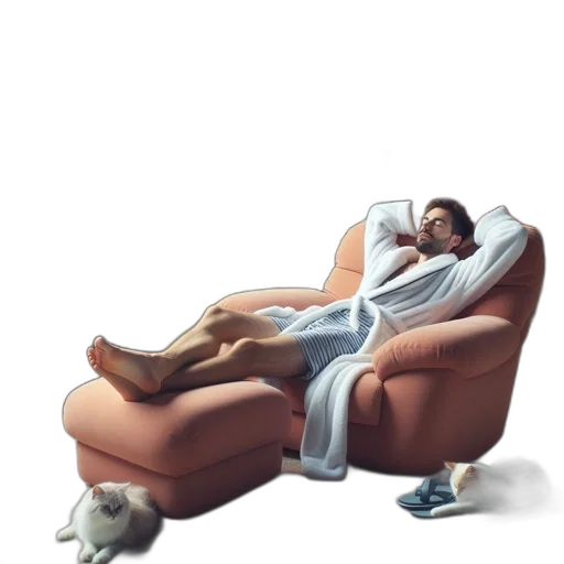 furniture, robot, animal, creature transparent PNG cut-out