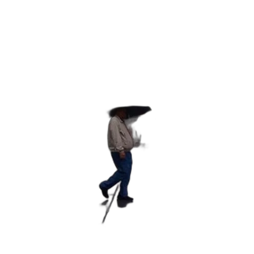 hat, umbrella, staff, shoes transparent PNG cut-out