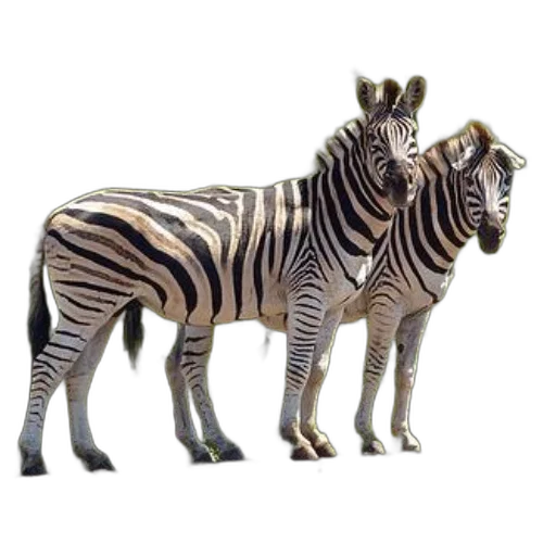 animal, creature, furniture, jewelry transparent PNG cut-out